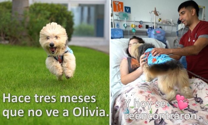 Hospital El Cruce, un emotivo y tierno reencuentro familiar