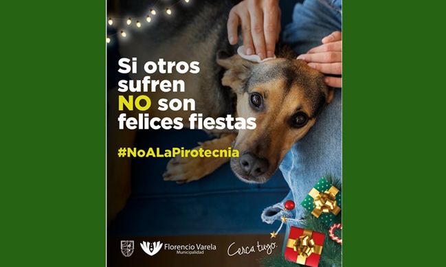 F. Varela - Recomendaciones para el cuidado de los animales durante las fiestas