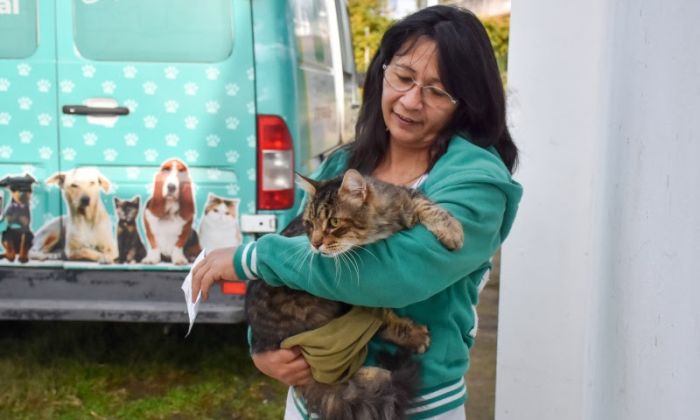 F. Varela – Jueves 19 - Jornada de atención veterinaria gratuita en Villa del Plata