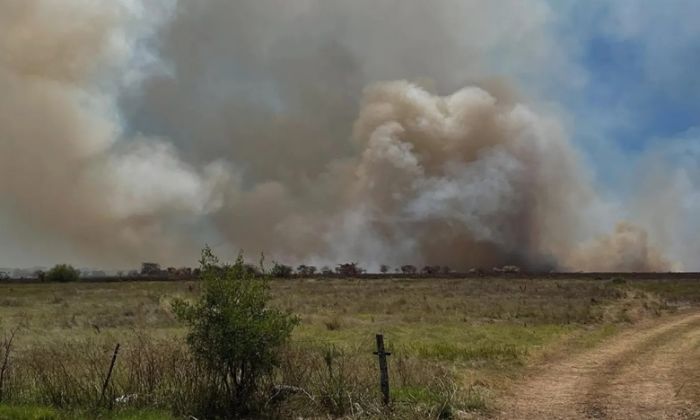 Punta Lara - Incendio en la Reserva: el humo y el olor llegan varios distritos vecinos