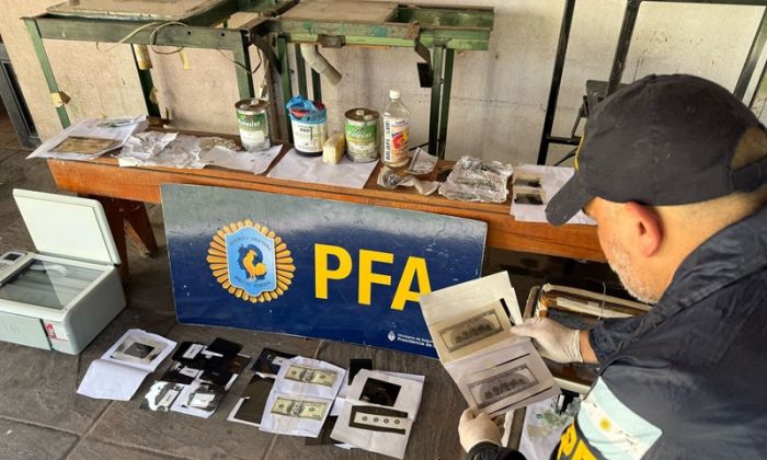 Mar del Plata - La PFA desarticuló una banda que falsificaba dólares