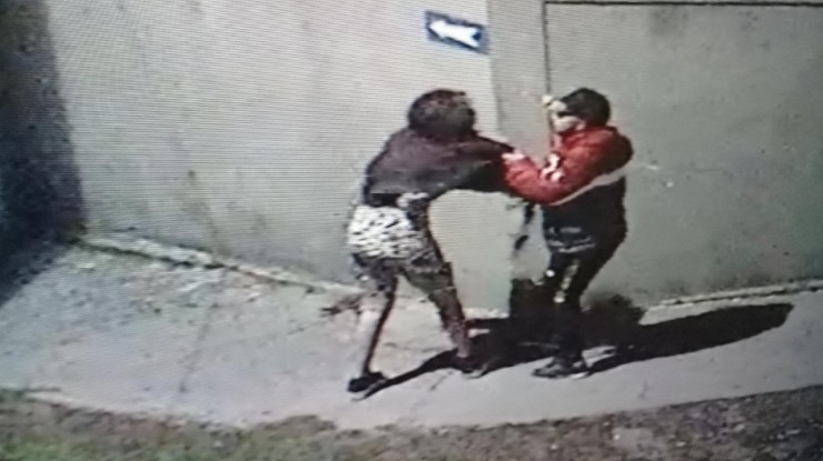 Cámaras de seguridad: detectan violencia de género en vía pública