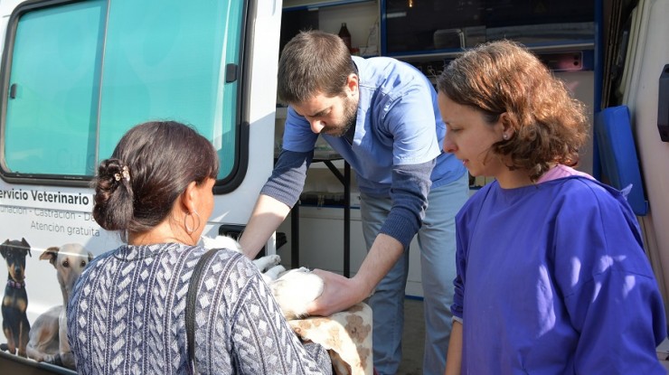 El móvil del servicio veterinario municipal recorre los barrios