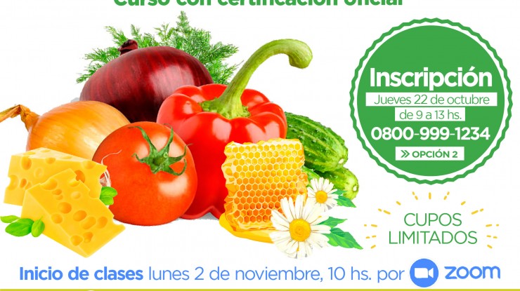 Curso de manipulación de alimentos con modalidad virtual