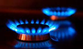 Quien es el funcionario que deberá segmentar las tarifas de luz y gas ?