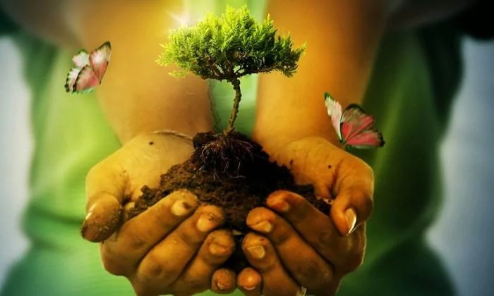 Florencio Varela: “Voces Adolescentes”, un concurso sobre protección del ambiente