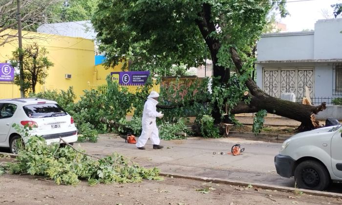 Florencio Varela: Intensos operativos post temporal 