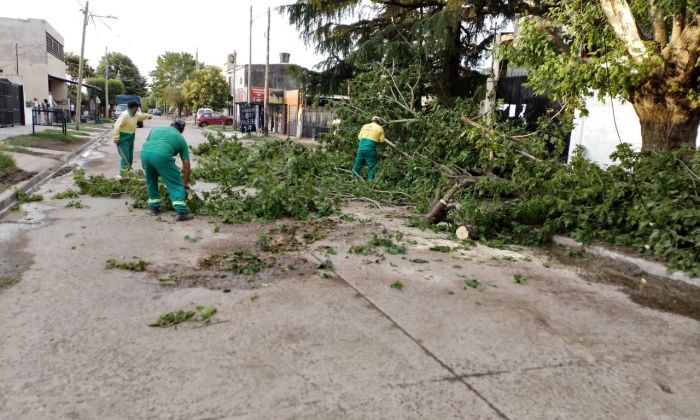 El municipio requirió a Edesur restablecer el servicio de energía eléctrica tras el temporal