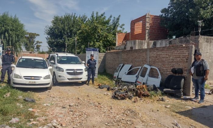 F. Varela – Allanamiento por robo automotor - Hallazgo de plantas de marihuana - Cuatro detenidos