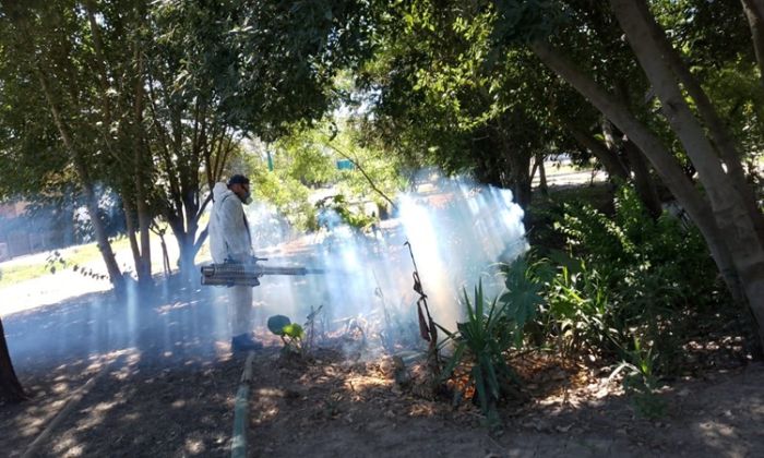 Florencio Varela - Fumigación y desmalezado en espacios públicos