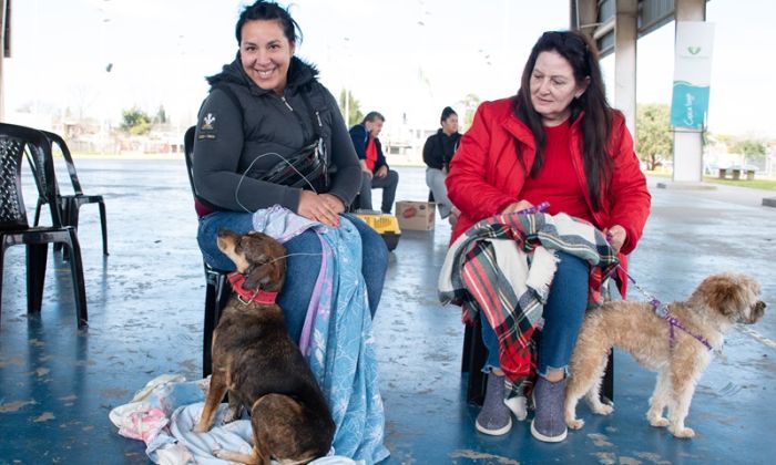 F. Varela - Jornada de atención veterinaria gratuita en Villa Angélica