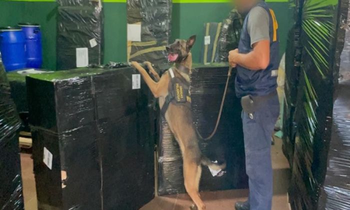 Misiones - La PFA secuestró marihuana oculta en encomiendas
