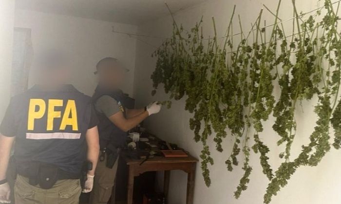Quilmes –Allanamiento: la PFA secuestró 180 kilos de marihuana – Dos detenidos