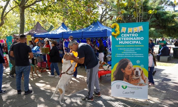 F. Varela - Día del Animal en la plaza San Juan Bautista