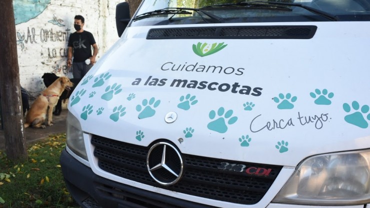 Atención gratuita a mascotas