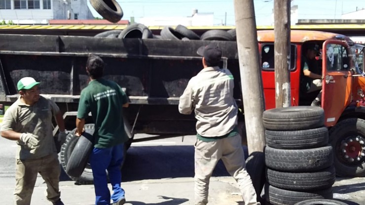 Operativos de recolección de neumáticos en desuso en distintos barrios