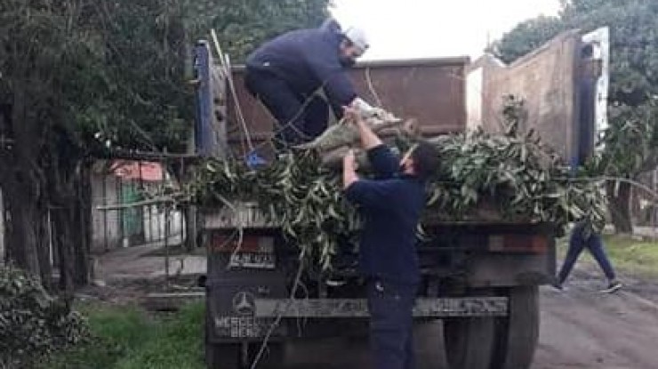 Trabajos de limpieza en diversos barrios varelenses