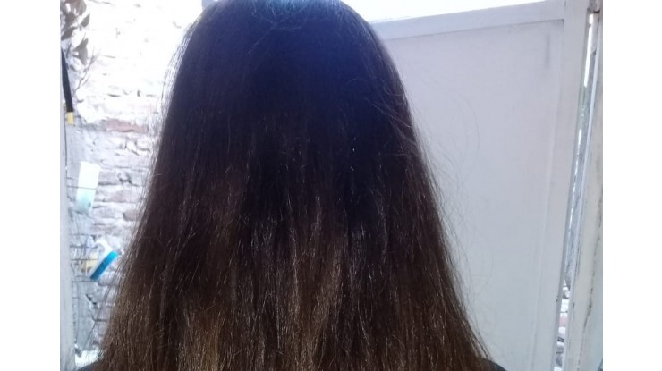 Atraparon a una mujer con captura activa