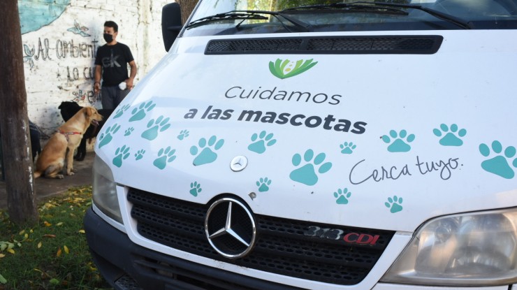 Servicio veterinario municipal gratuito